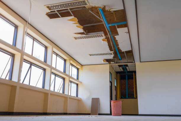 Best Water damage contractors near me  in Jericho, NY