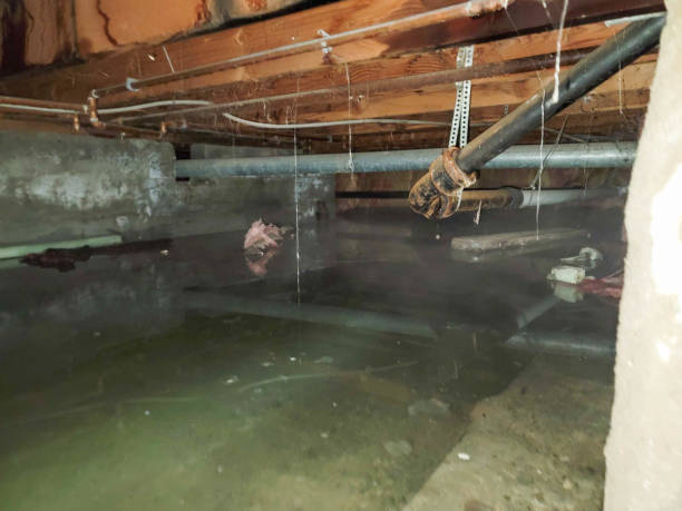 Best Emergency water damage restoration  in Jericho, NY
