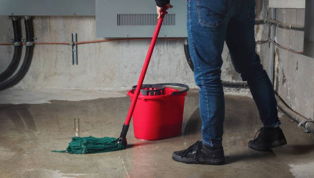Best Carpet water damage restoration  in Jericho, NY