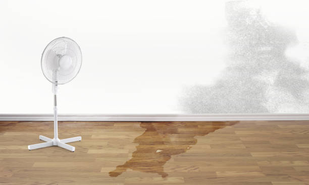 Best Fire Damage Restoration  in Jericho, NY