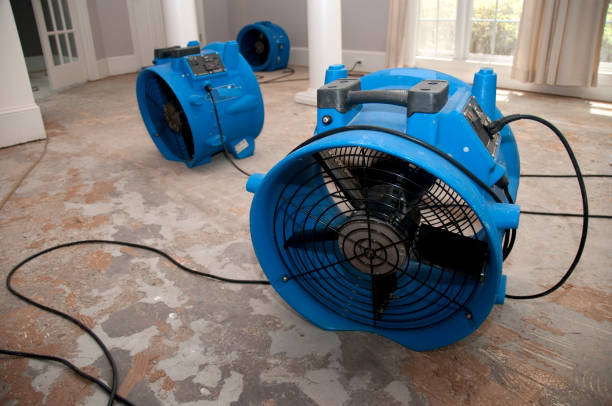  Jericho, NY Water damage restoration Pros