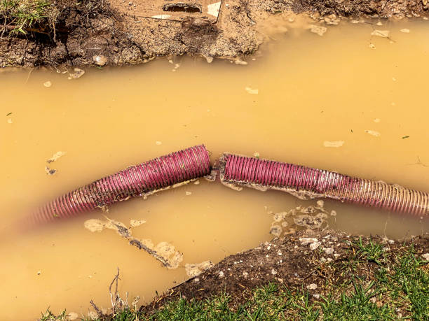 Best Water damage restoration near me  in Jericho, NY